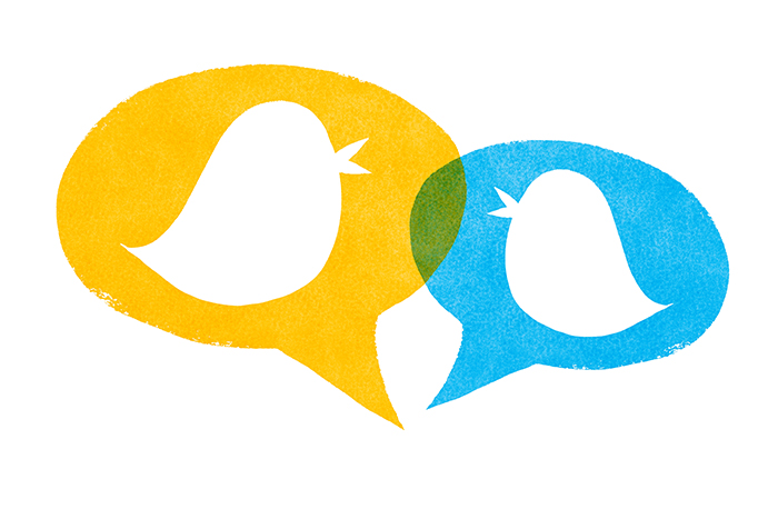 Birds with Yellow and Blue Speech Bubbles